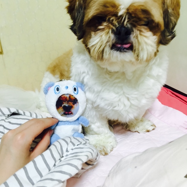 대풍이 동생 소망아!~~~