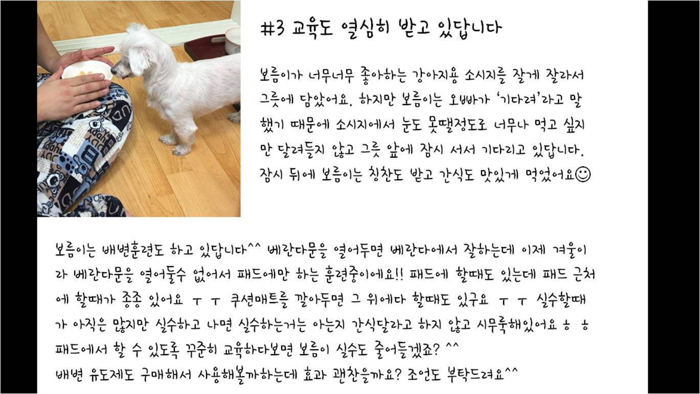 보름이(청단이) 임보일기 (D+80일)  입니다 ^^