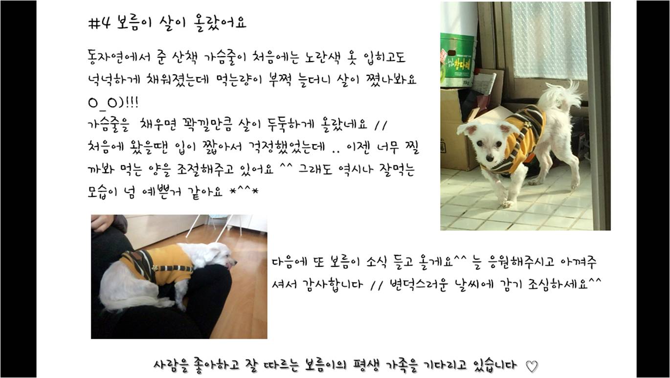 보름이(청단이) 임보일기 (D+80일)  입니다 ^^