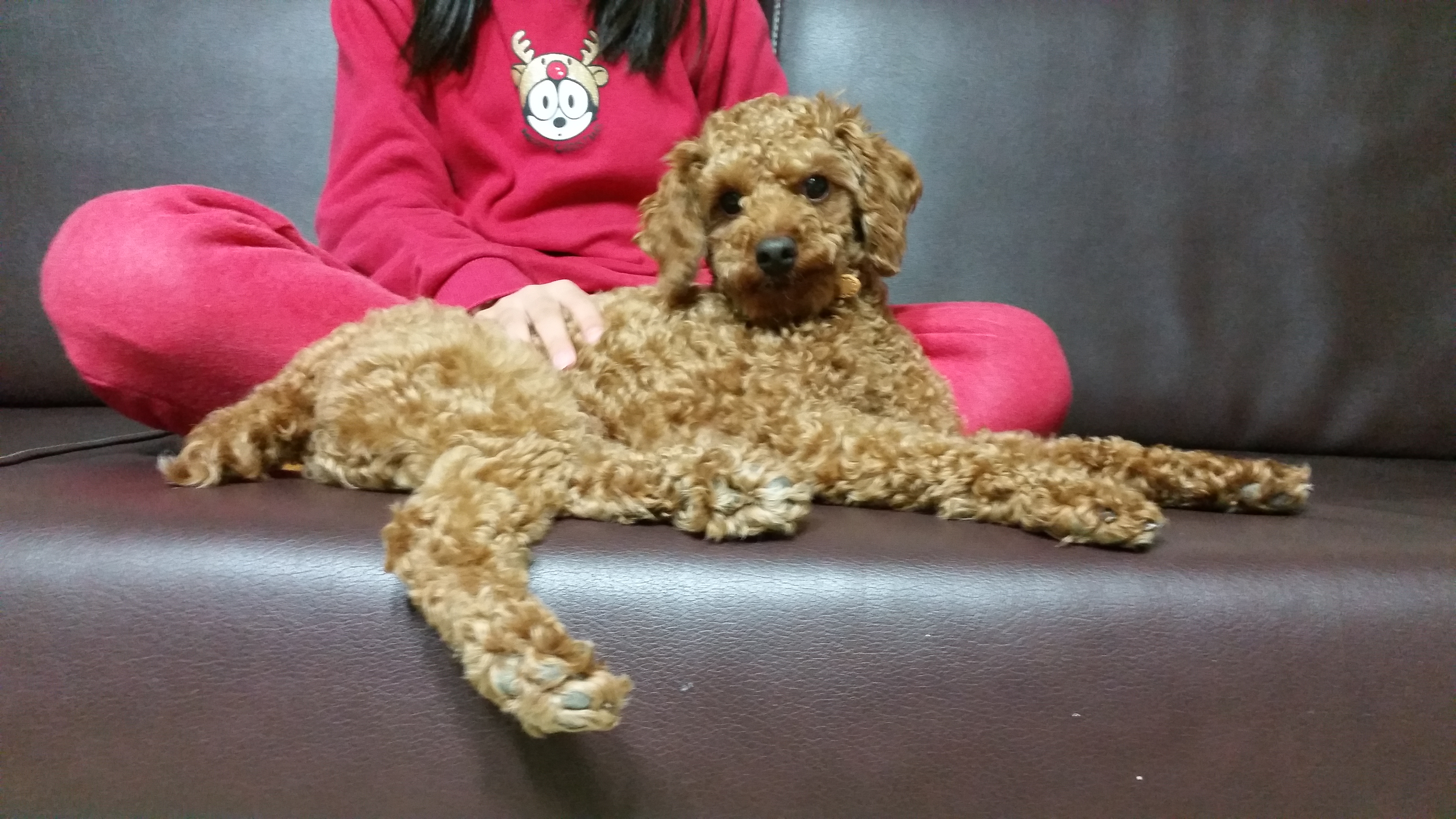 짱이 입양 일주일~