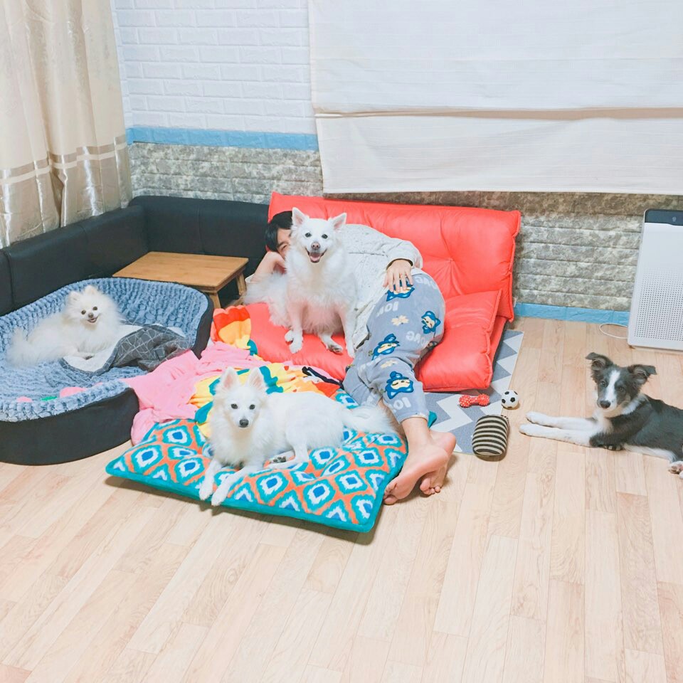 다시 한번 꼬롱이(리오) 소식입니다~