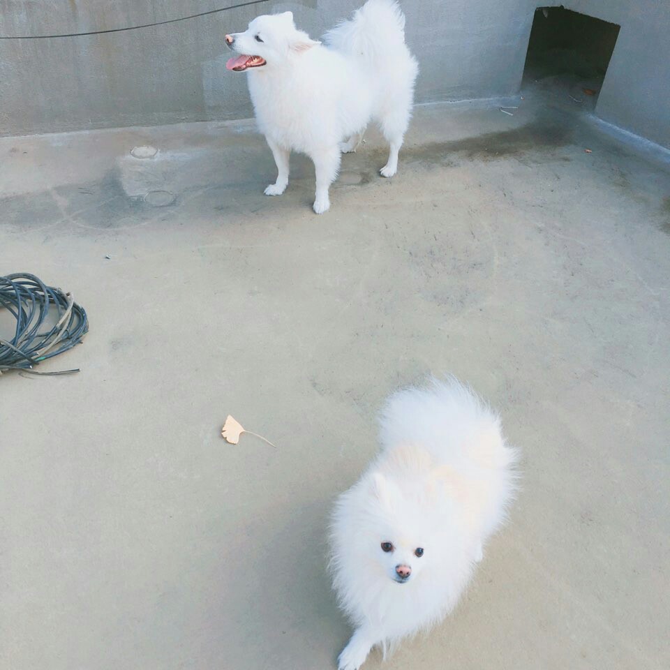 다시 한번 꼬롱이(리오) 소식입니다~