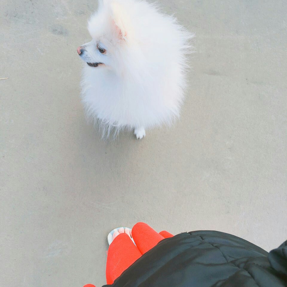 다시 한번 꼬롱이(리오) 소식입니다~
