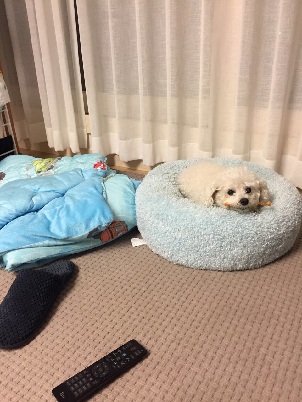 백이 보고 싶으셨죠?