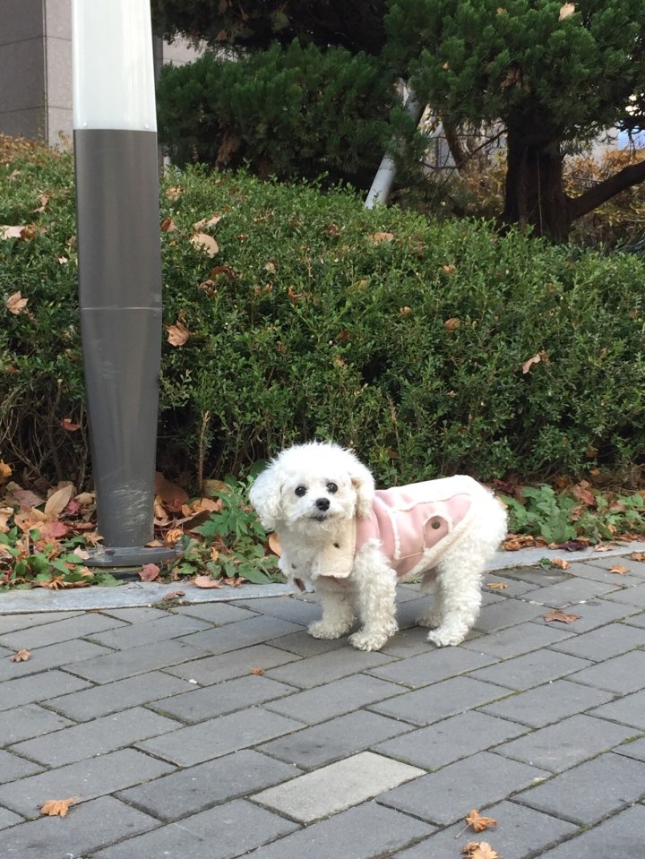 백이 보고 싶으셨죠?