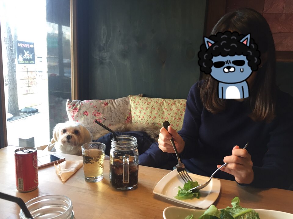 달콩(홍당무)이 소식이예요