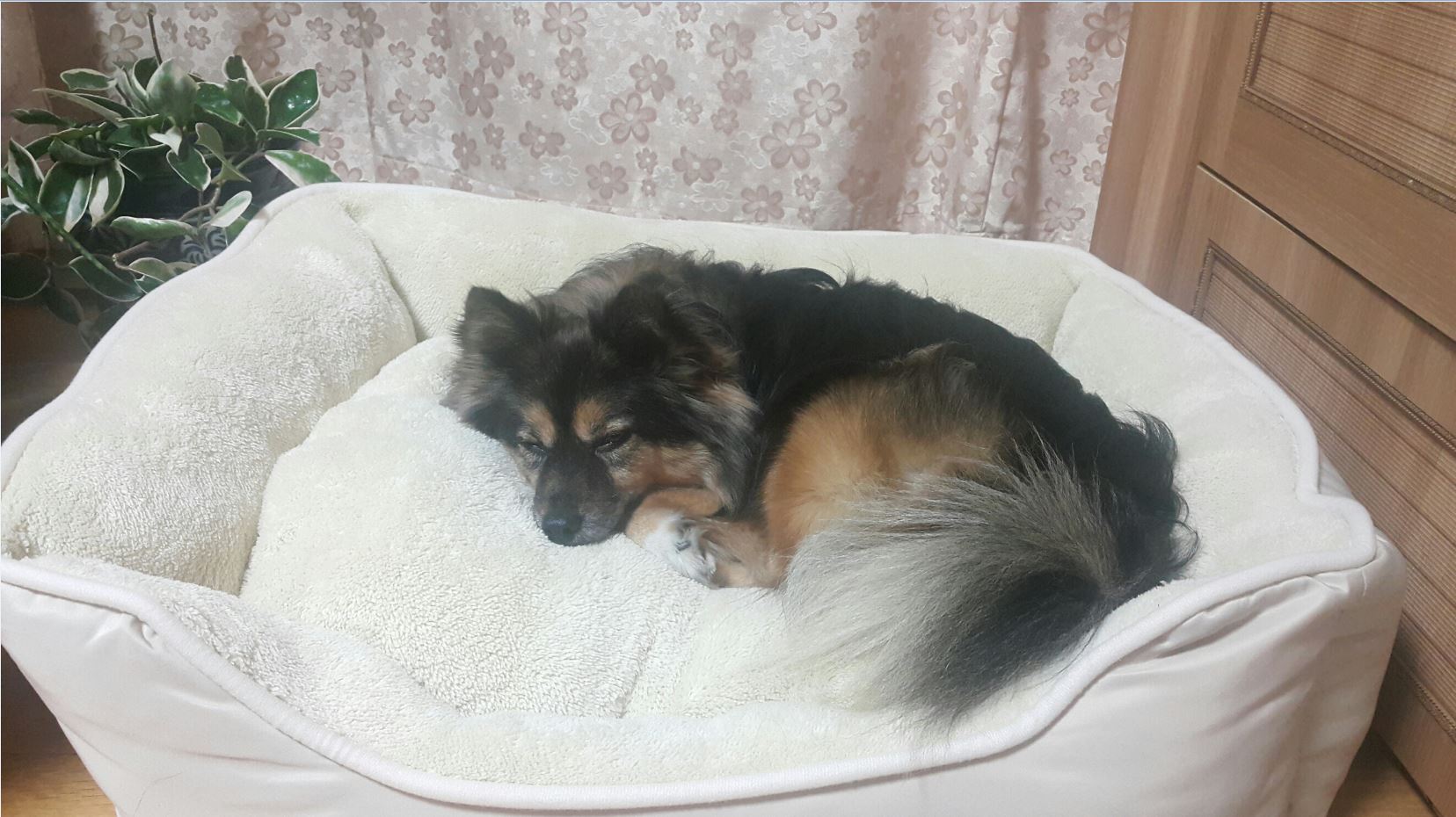 베를린 입니다.