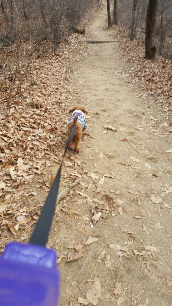짱이 입양 한달~