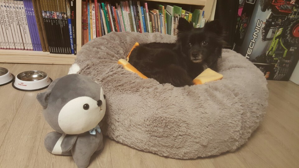 넷째가 생겼습니다.^^