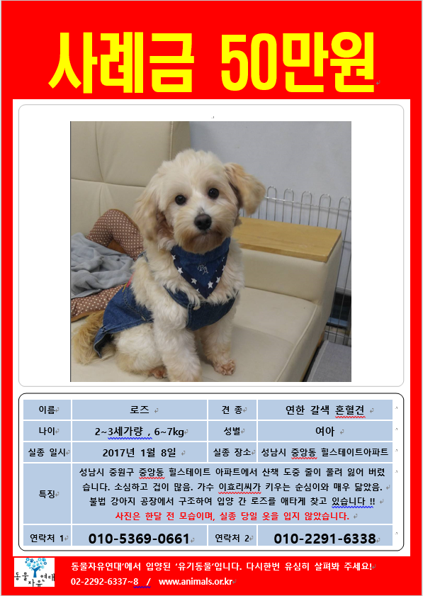 로즈 찾기 전단지를 공유해주세요!!!