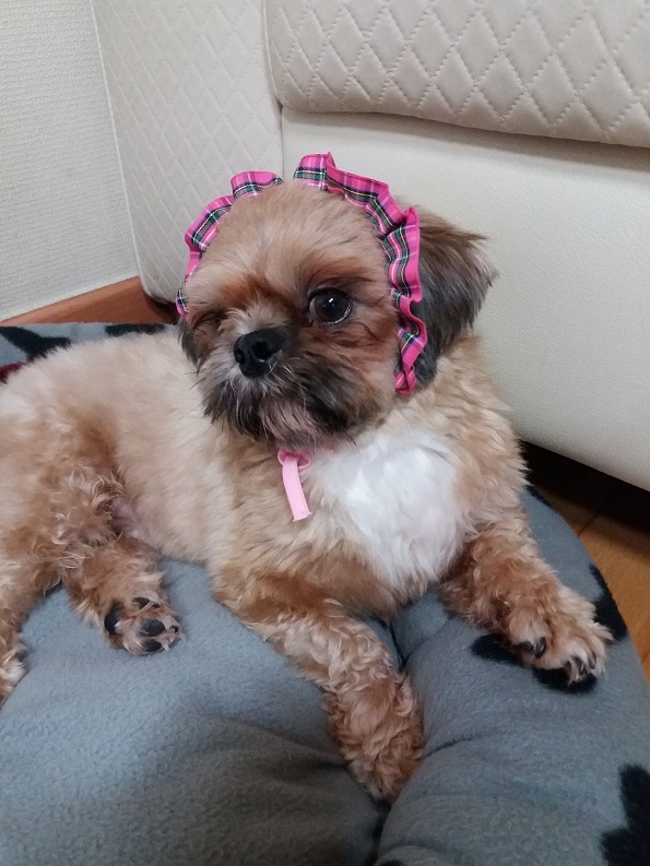 알콩달콩이 잘 지내고 있어여~