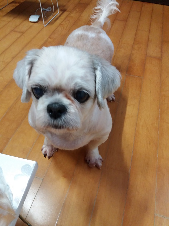 알콩달콩이 잘 지내고 있어여~