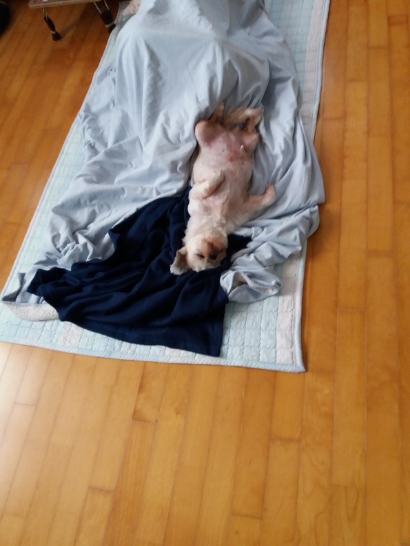 알콩달콩이 잘 지내고 있어여~