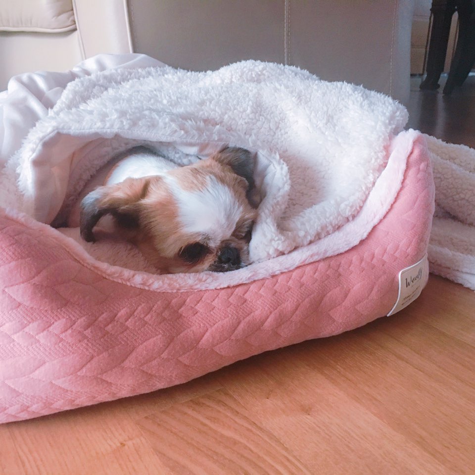 방울이의 행복한 하루 하루!!!