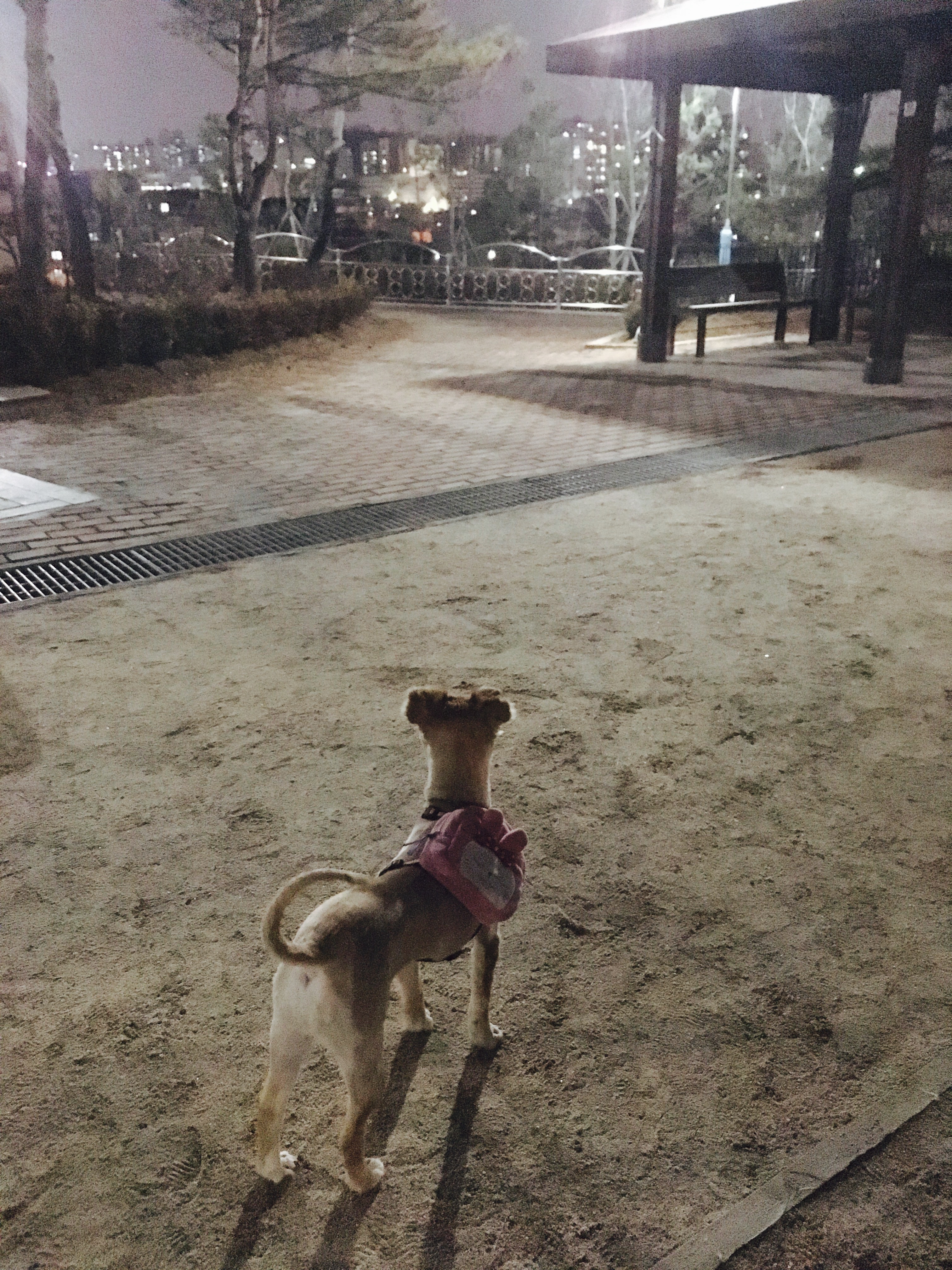 금비의 겨울나기