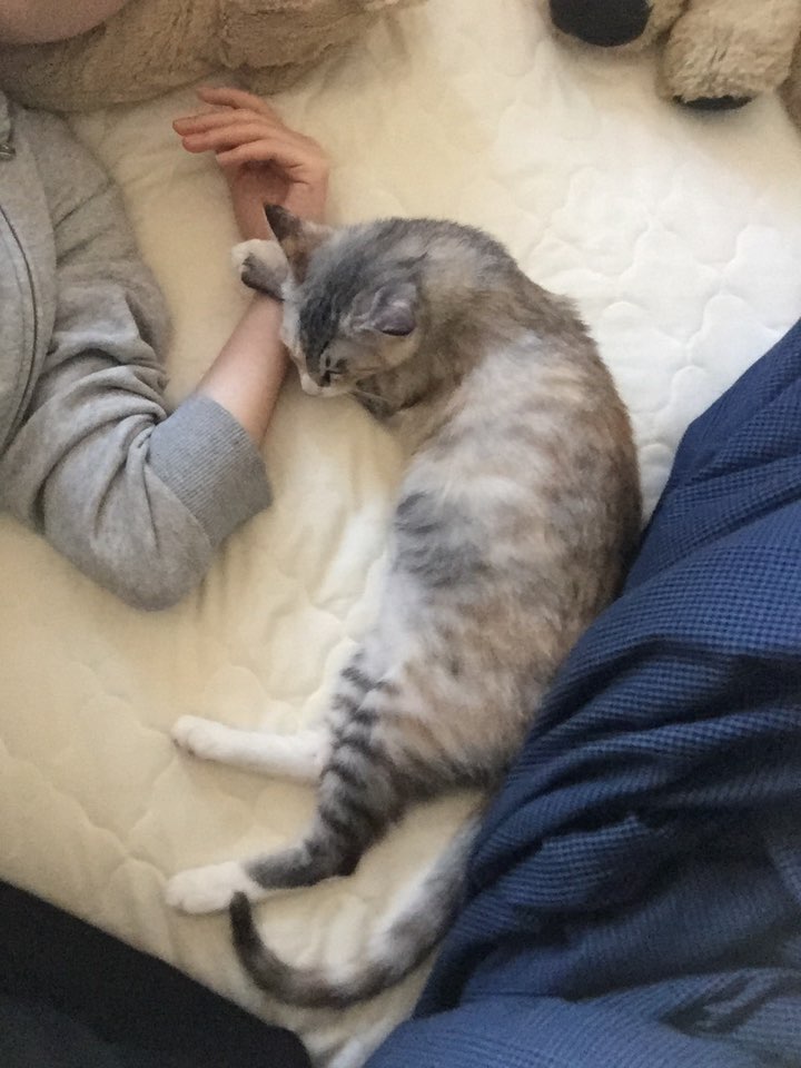 보리(레니)가 온지 벌써 한 달이 넘었어요!