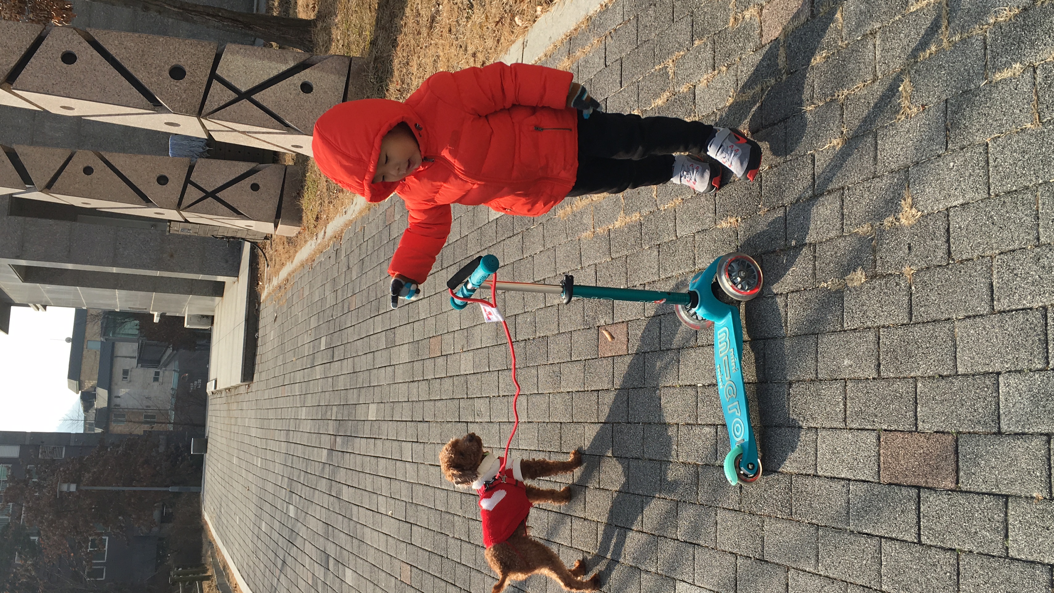 칼칼이(냉이) 두번째 후기입니다..