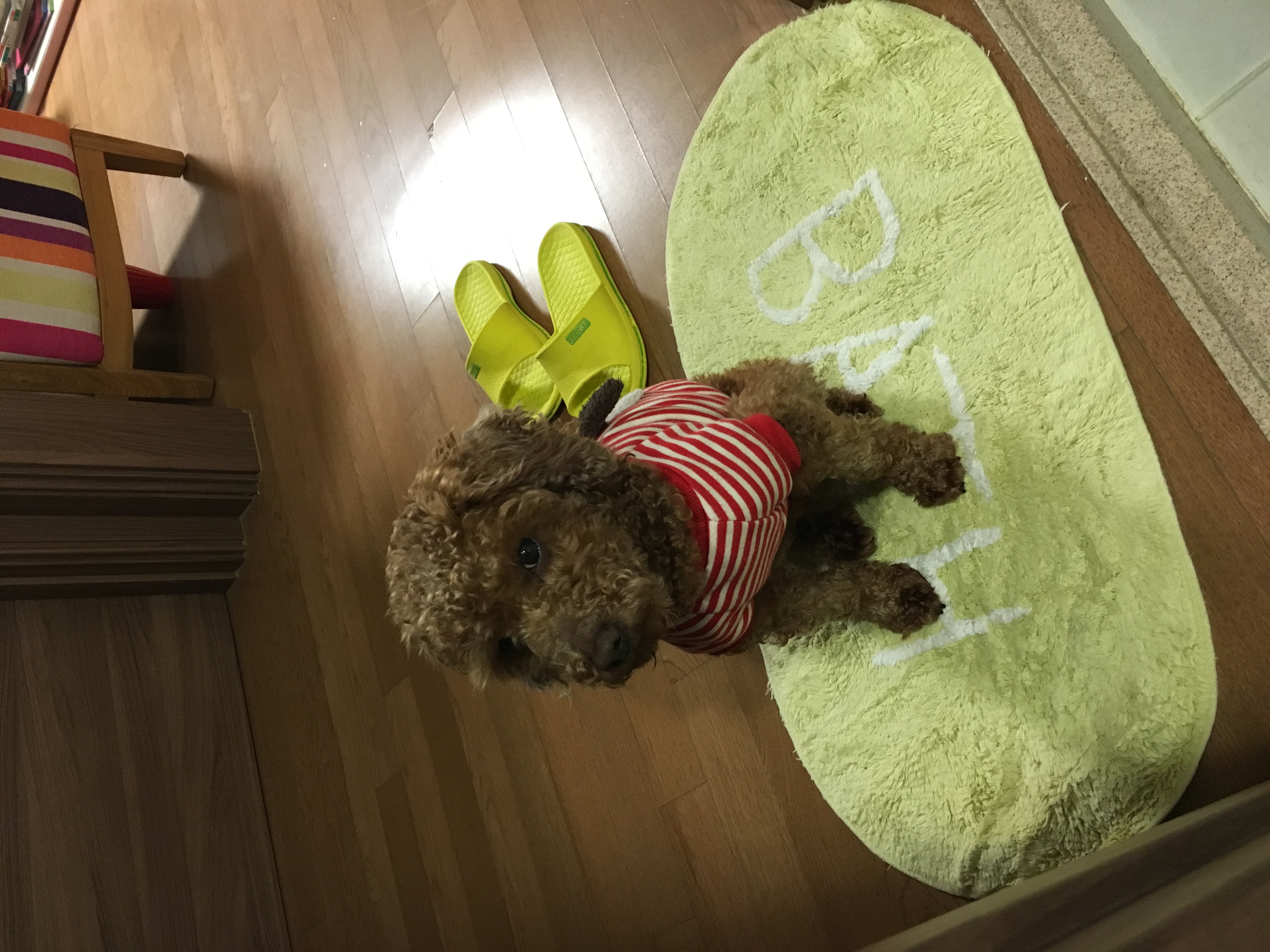 칼칼이(냉이) 두번째 후기입니다..