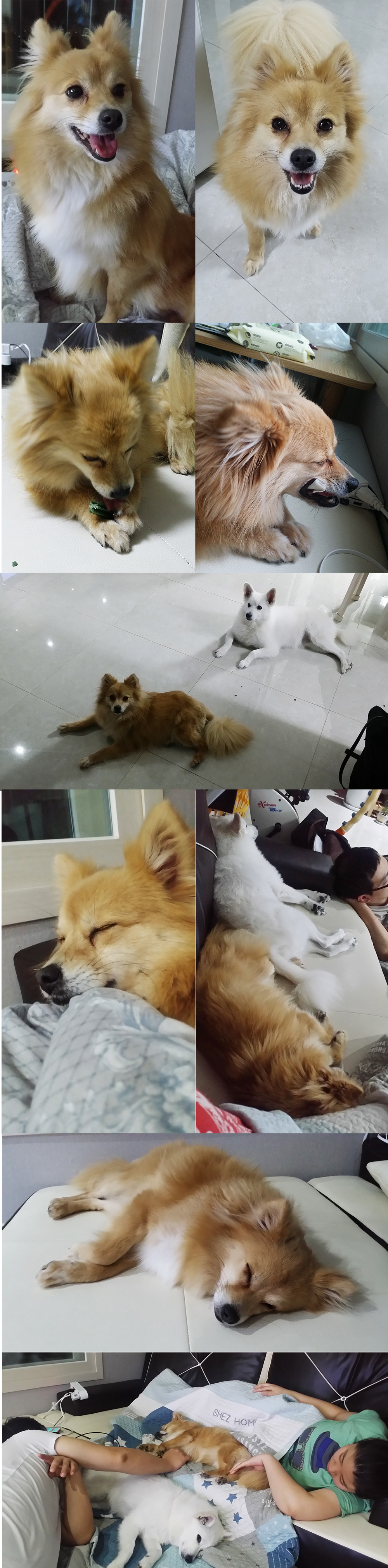 '대추 첫 후기' 인사드려요~~^^