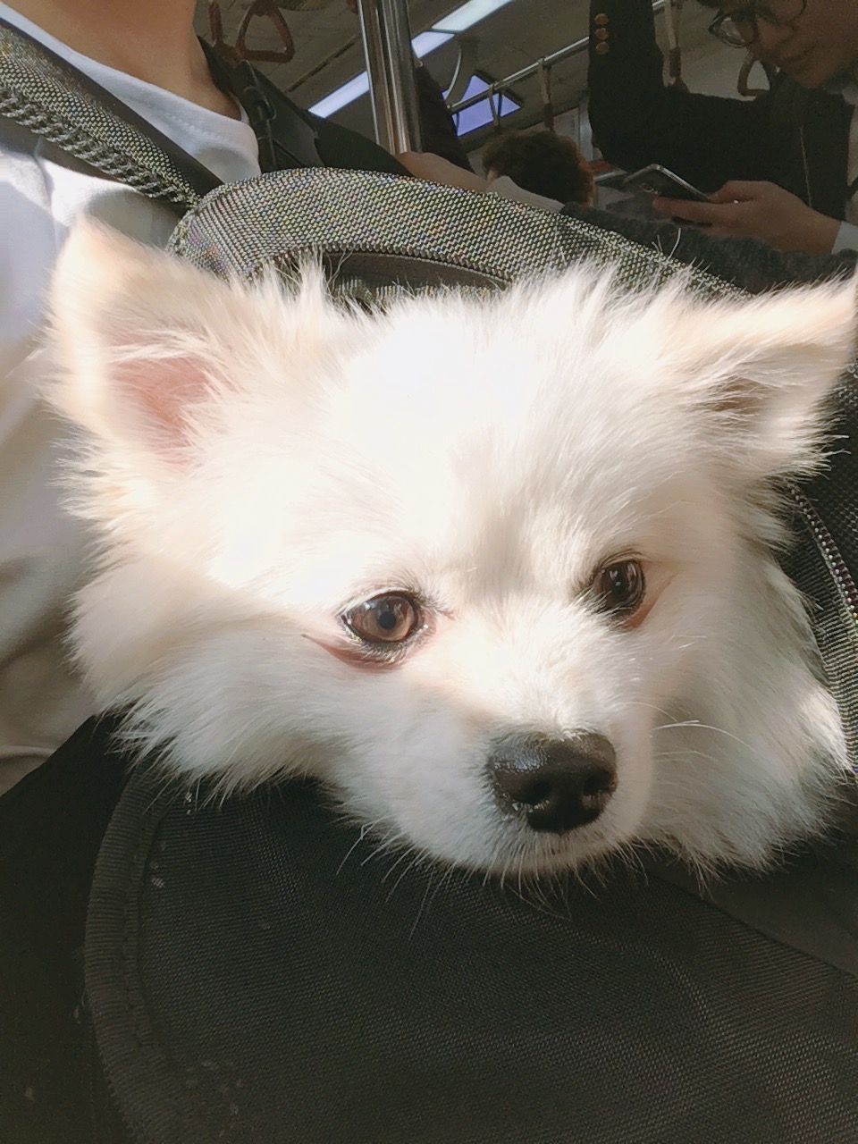 꼬마 세번째 후기!