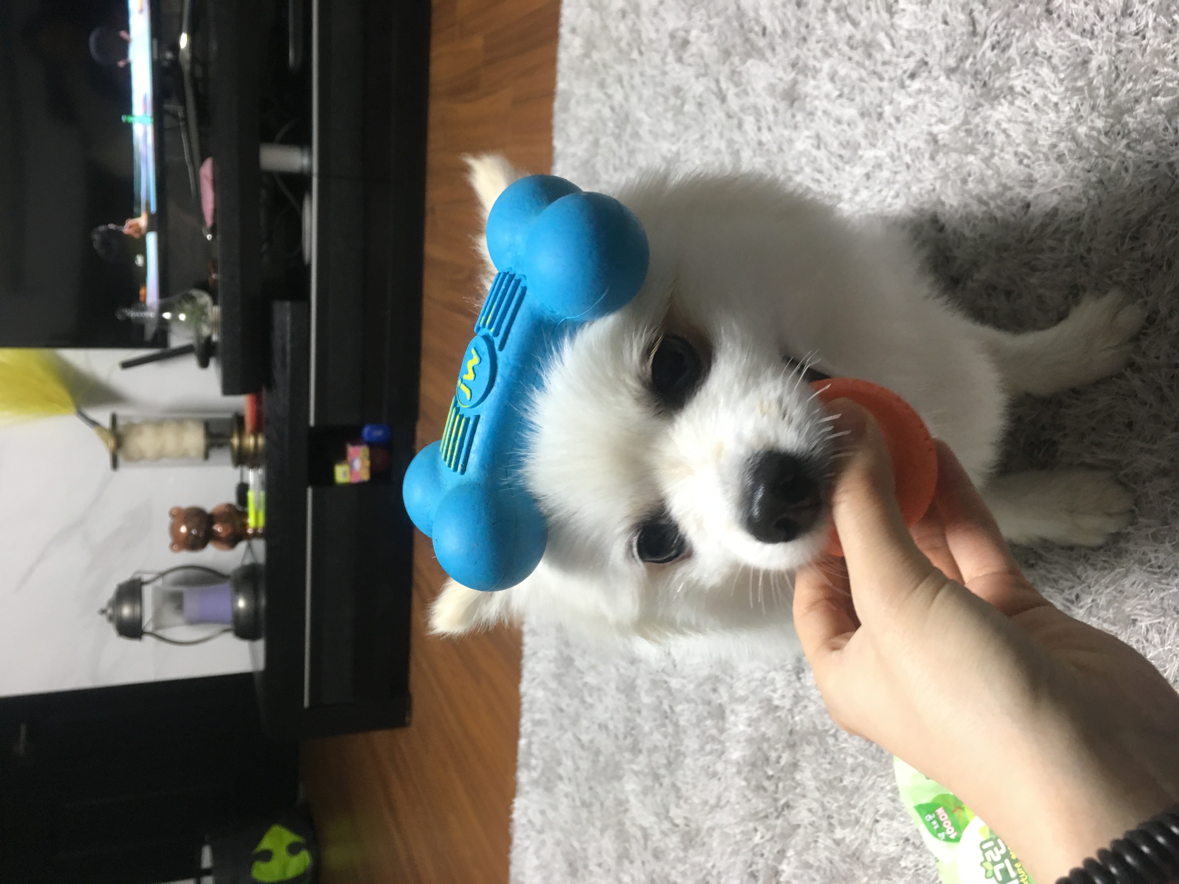 꼬마 세번째 후기!