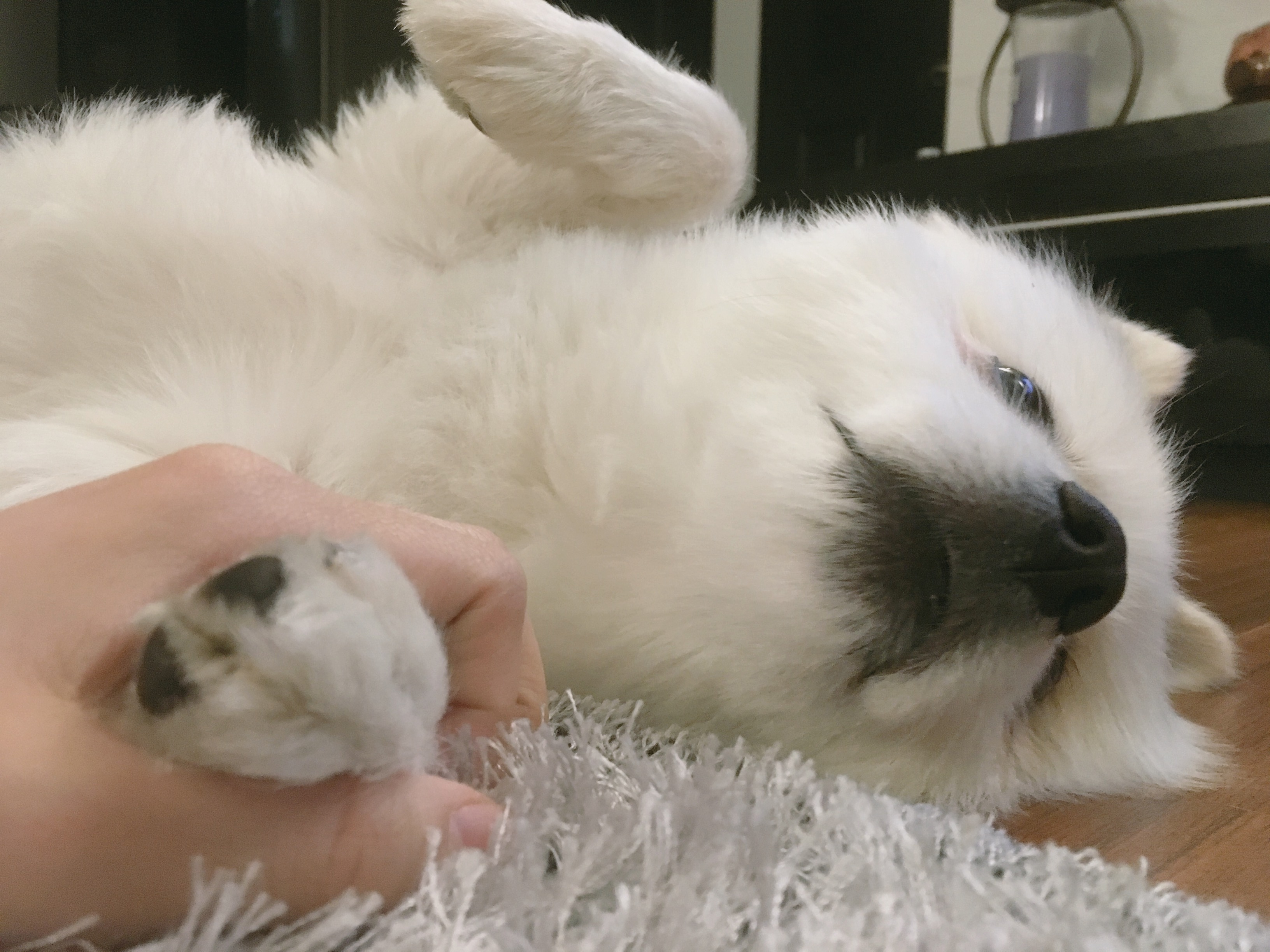 꼬마 세번째 후기!