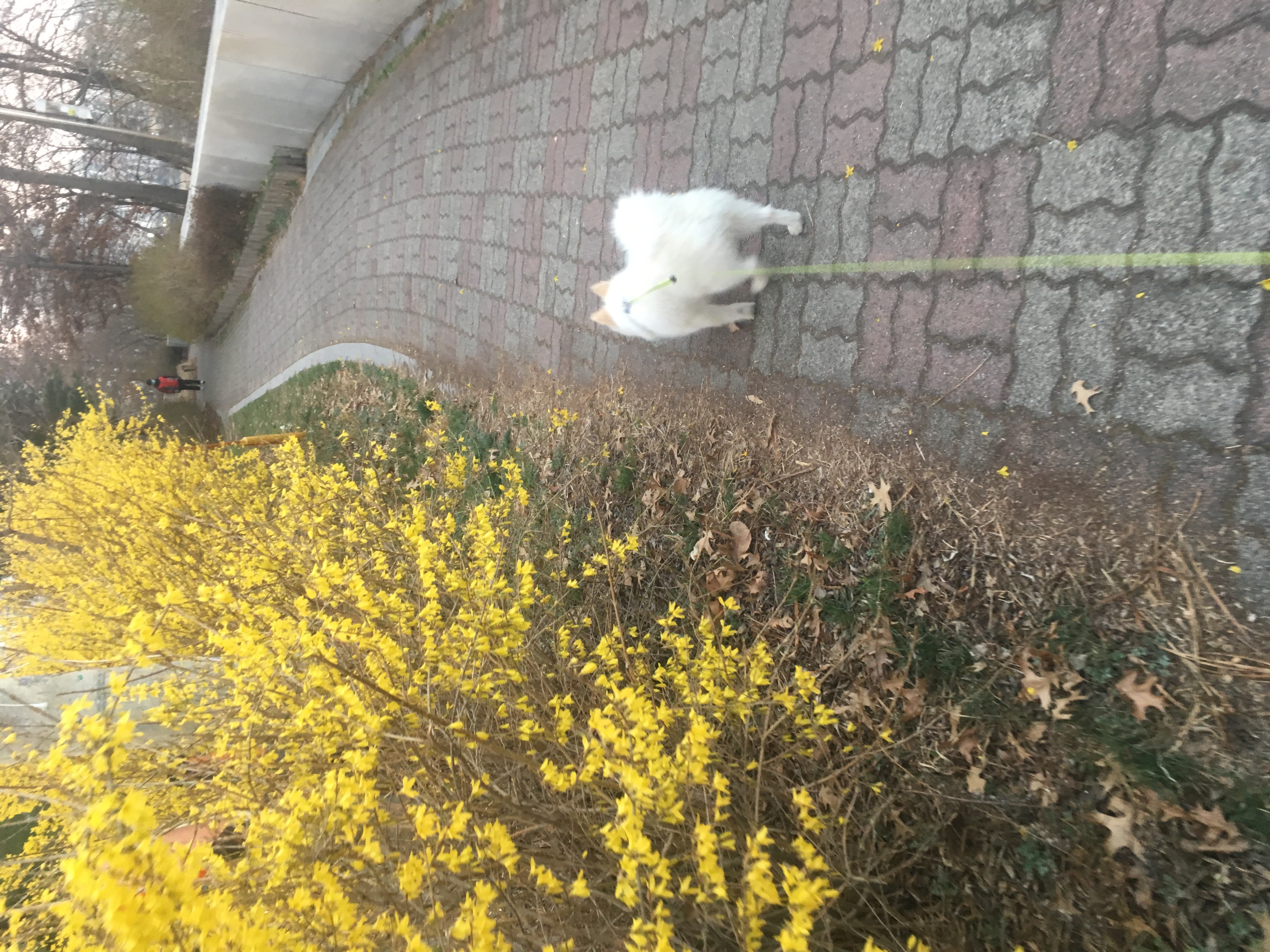 꼬마 세번째 후기!