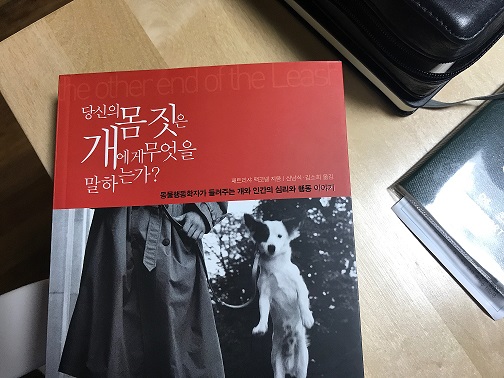 마리 한달 후기입니다 