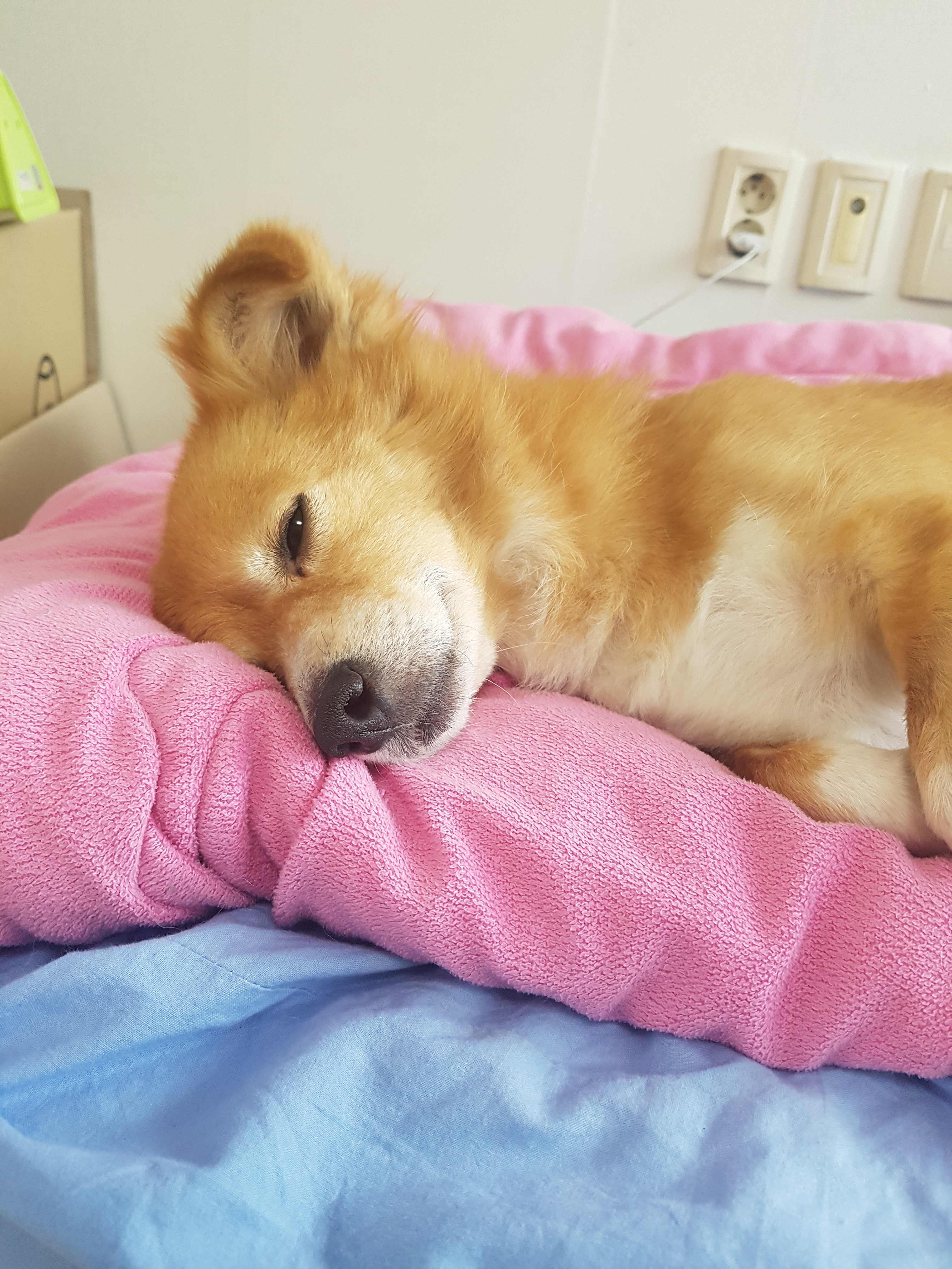 마리엄마 기쁨이 입니다~~
