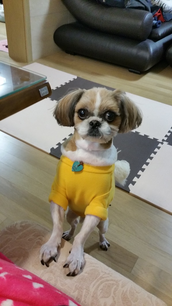 몽이에요~