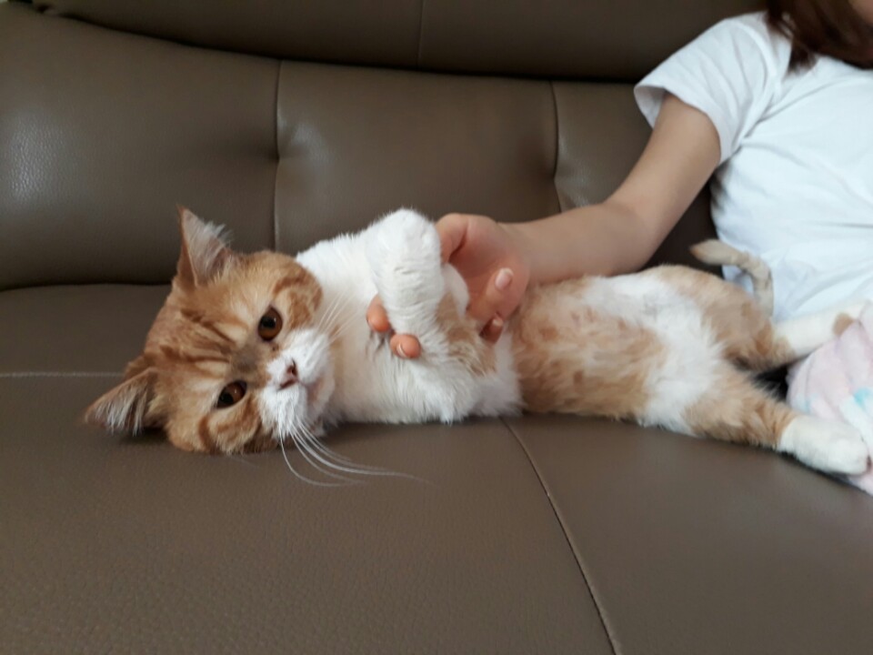 호빵이 후기입니다.
