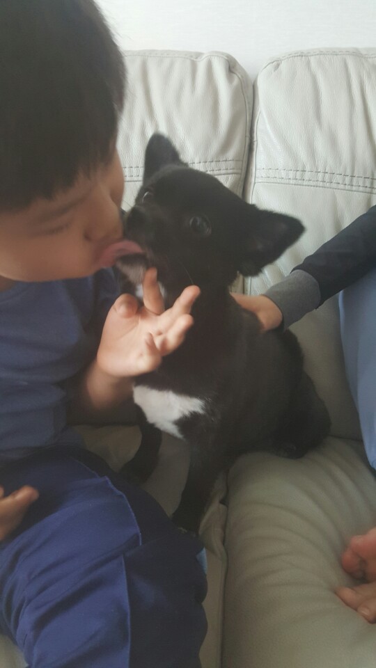 소월이의 근황