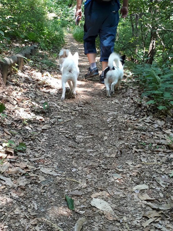 세모소식