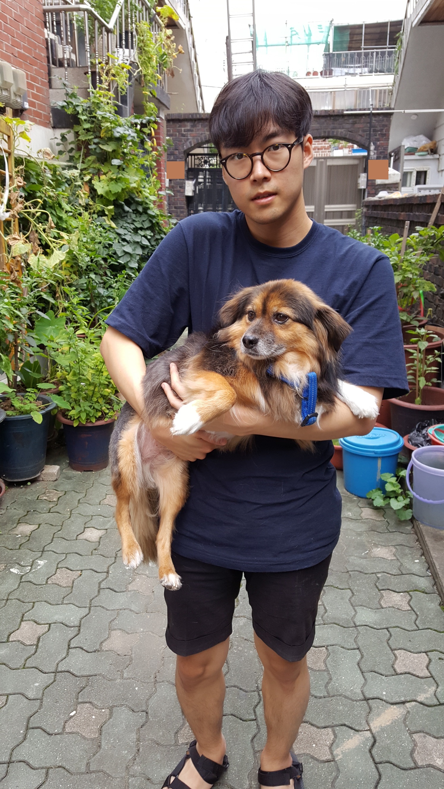 정왕이의 여름나기