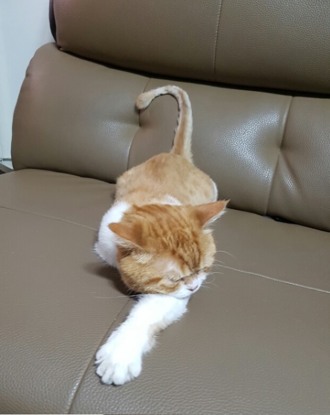 호빵이 두번째 후기입니다.