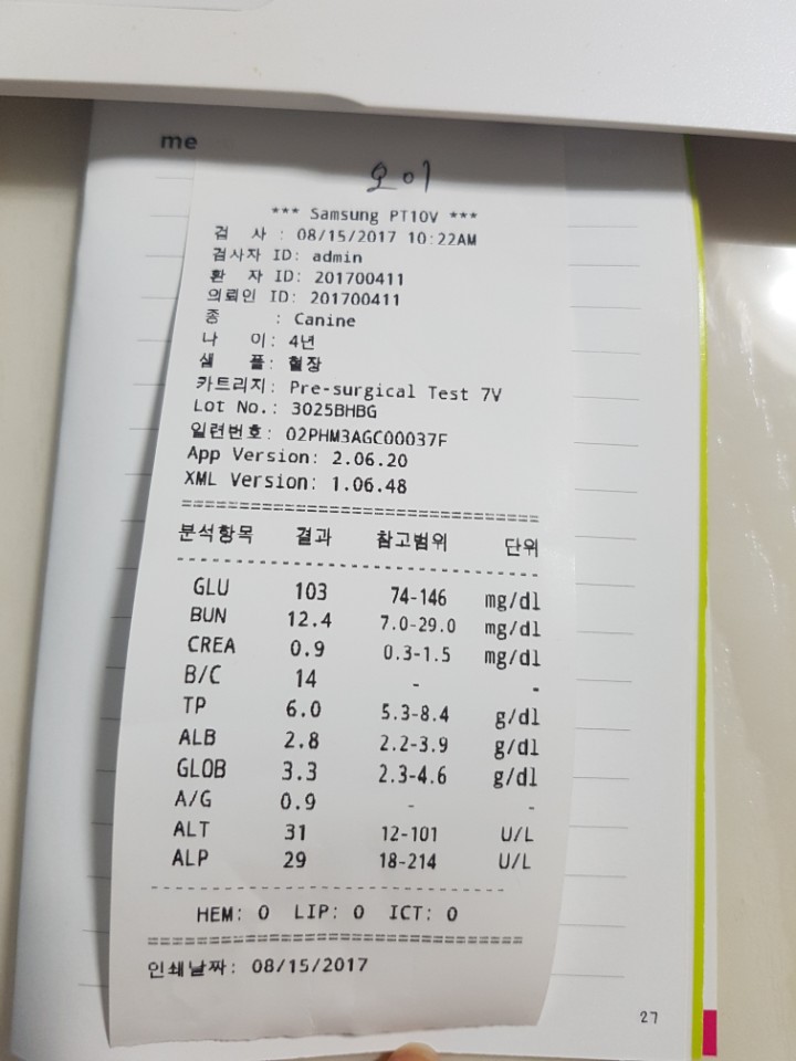 입양 첫번째 후기입니다