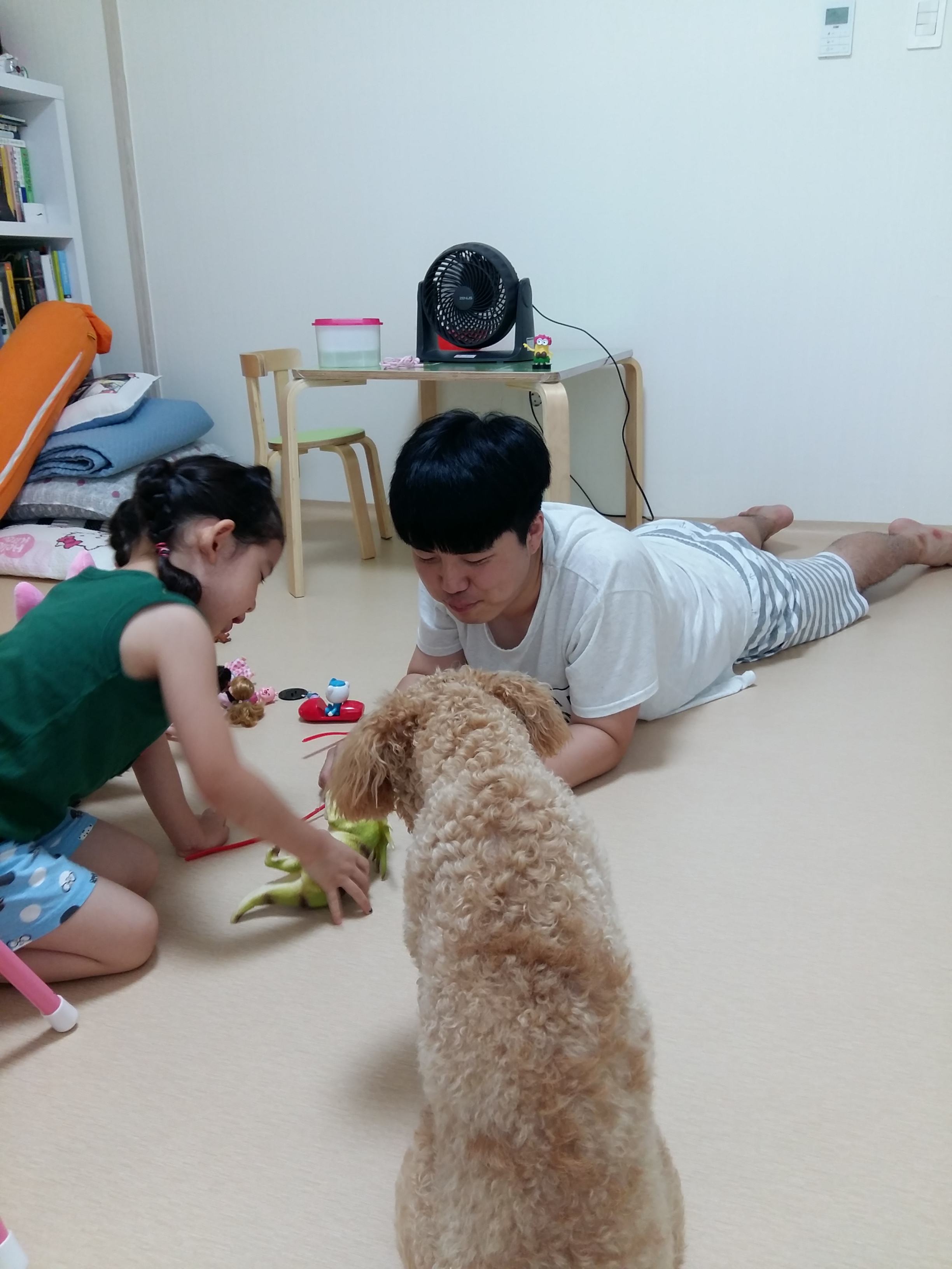 승지 입양후기