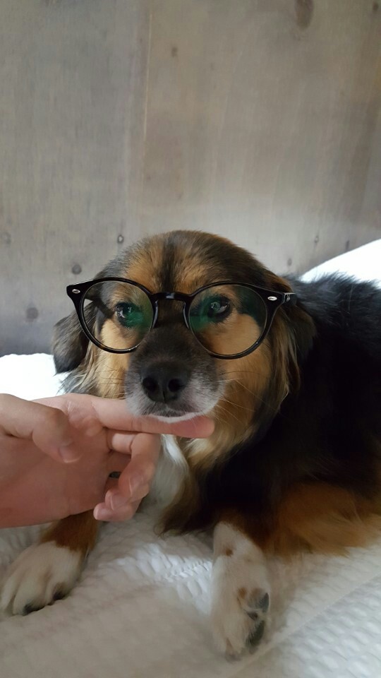 정왕이의 바다여행