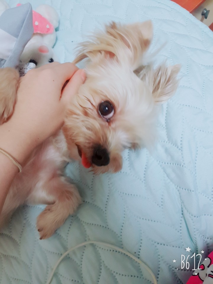 단비 입양후기입니다~