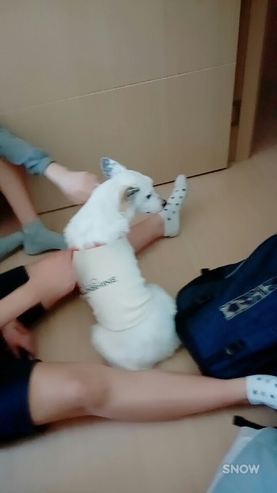 치즈 1년 되었어요~~^^ 