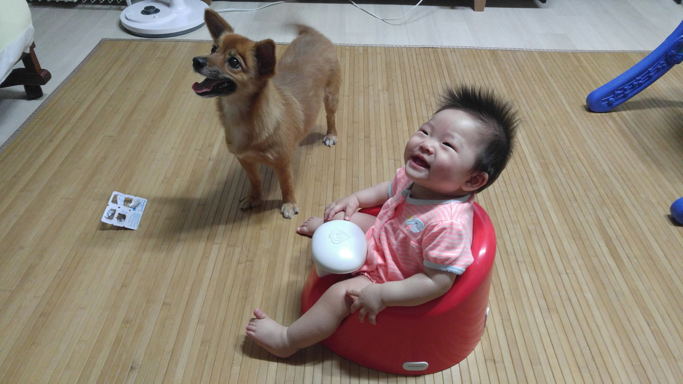 오랜만에 인사드려요