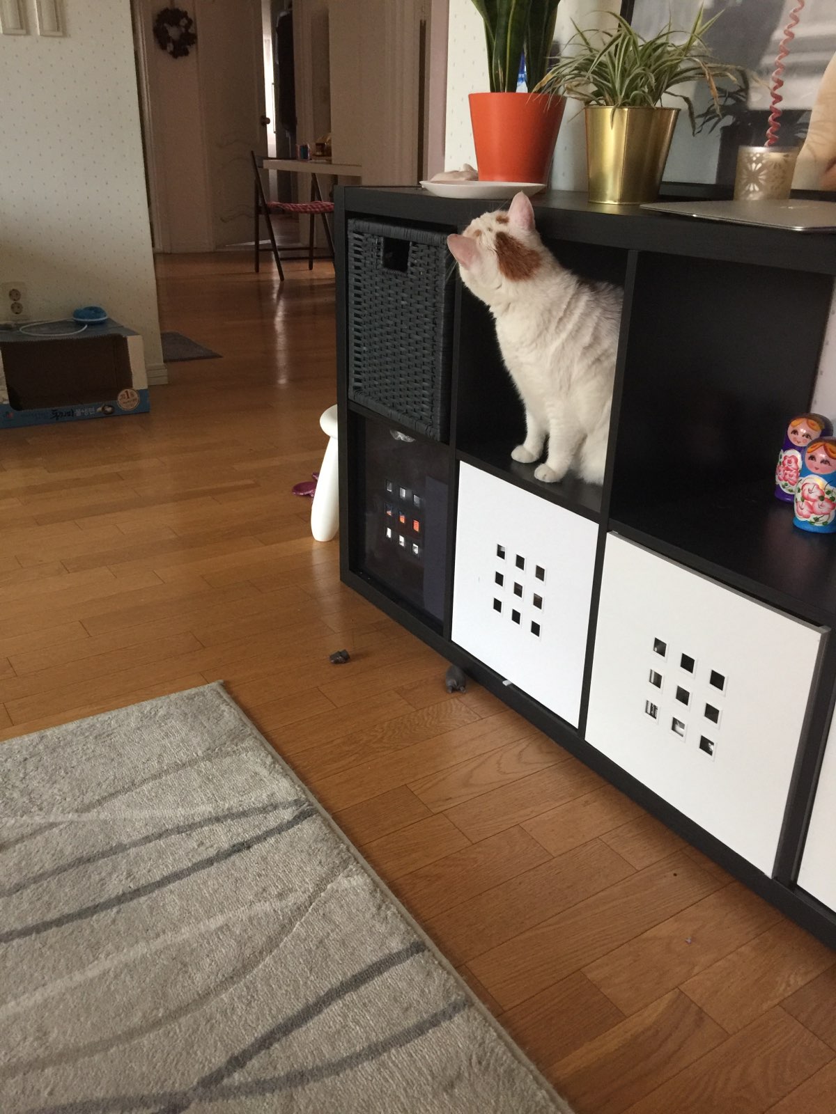 뻔순이 근황
