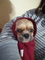 알콩달콩이
