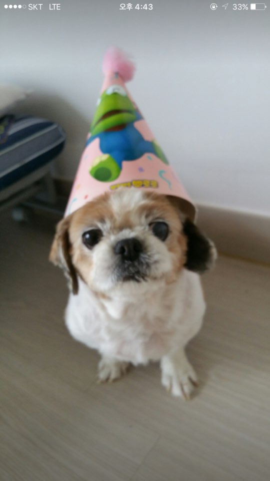 감자(코이) 언니입니다