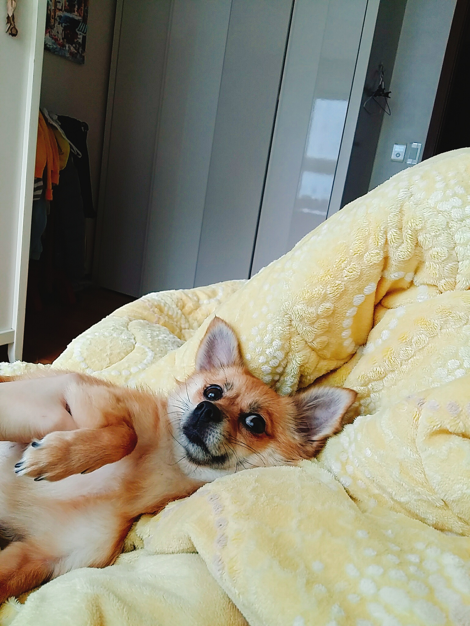 땅콩이의 1년후