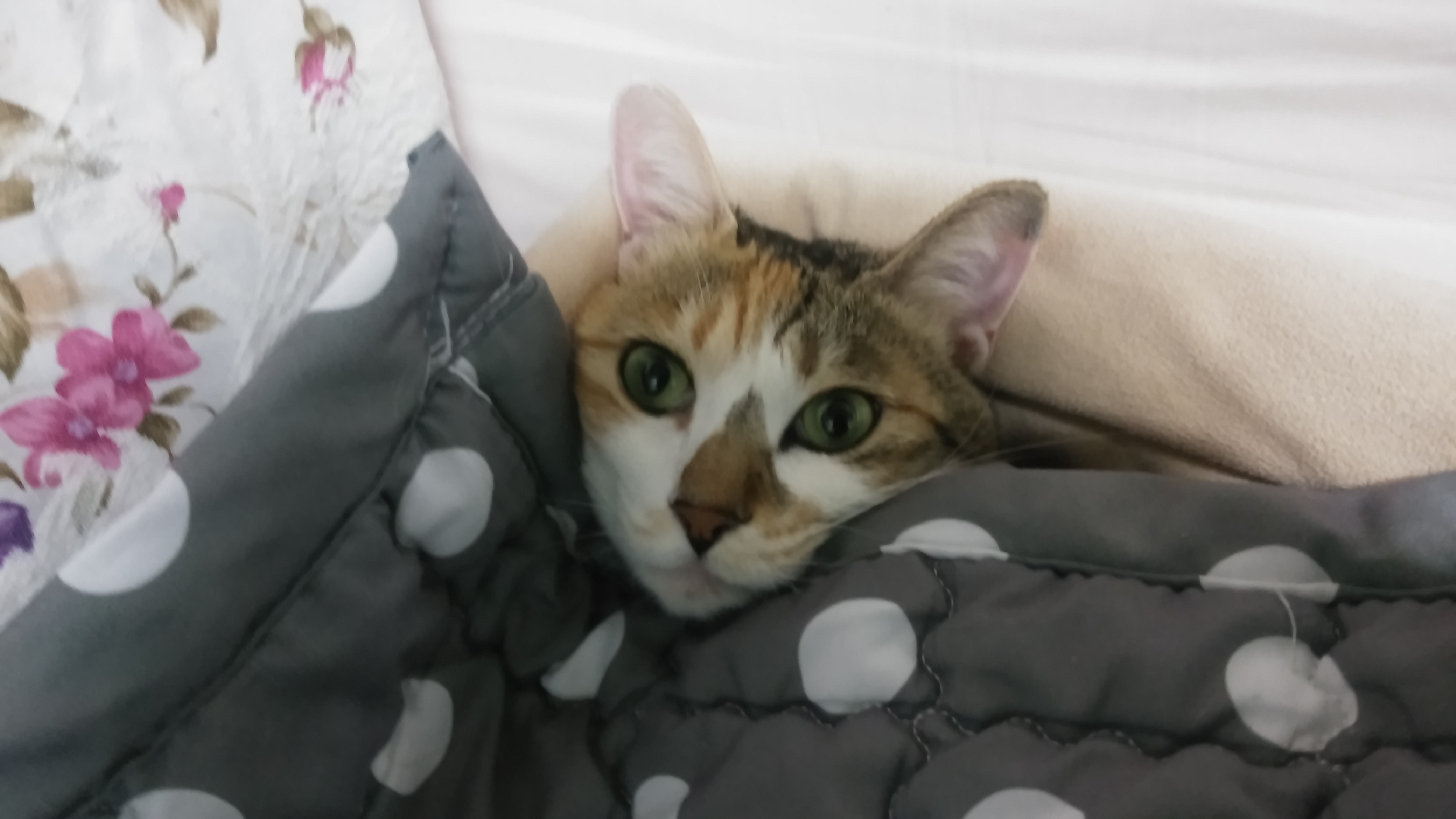 우리 보람이 진짜 잘지내요