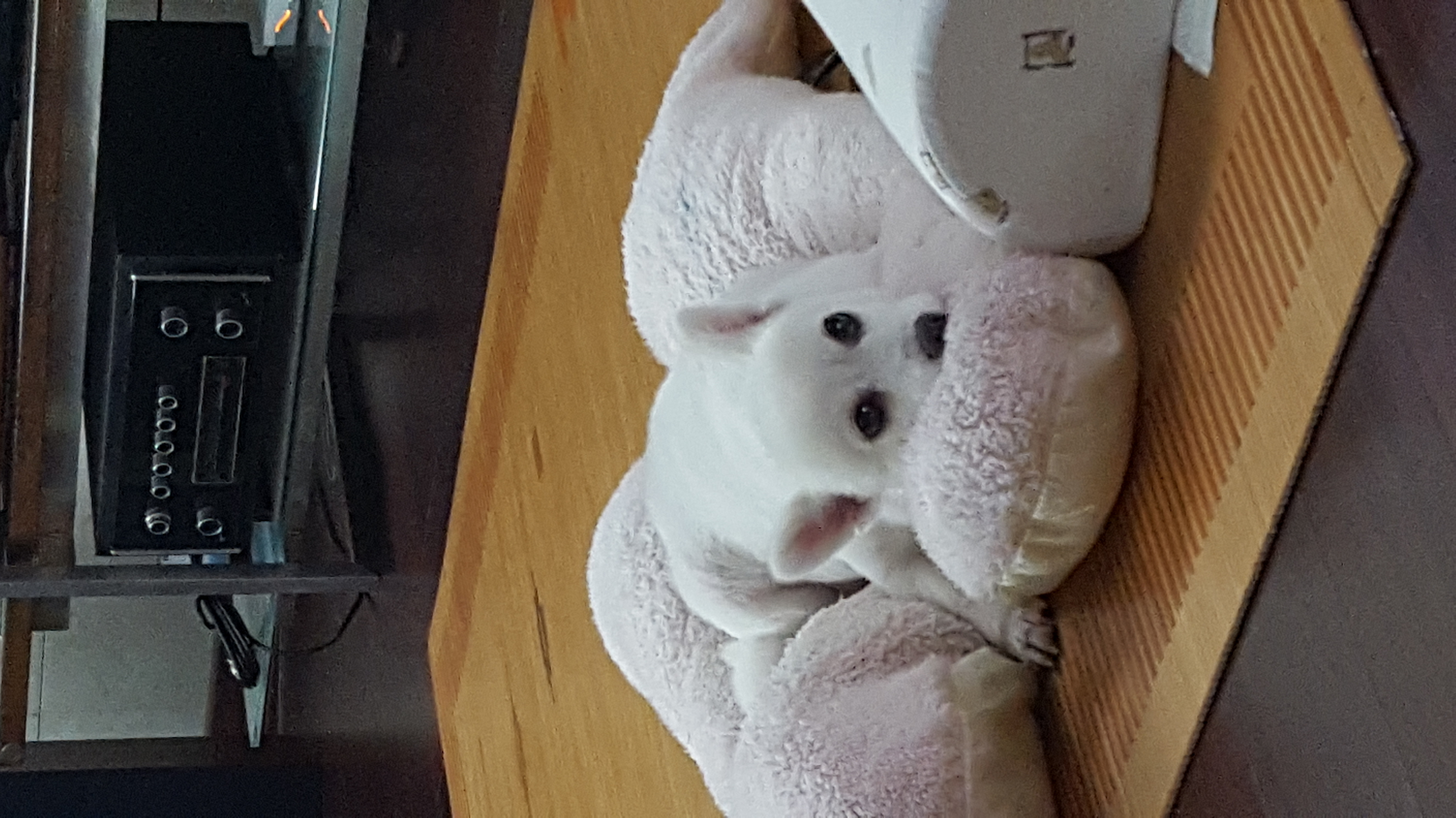 햇살이 사진 올립니다~
