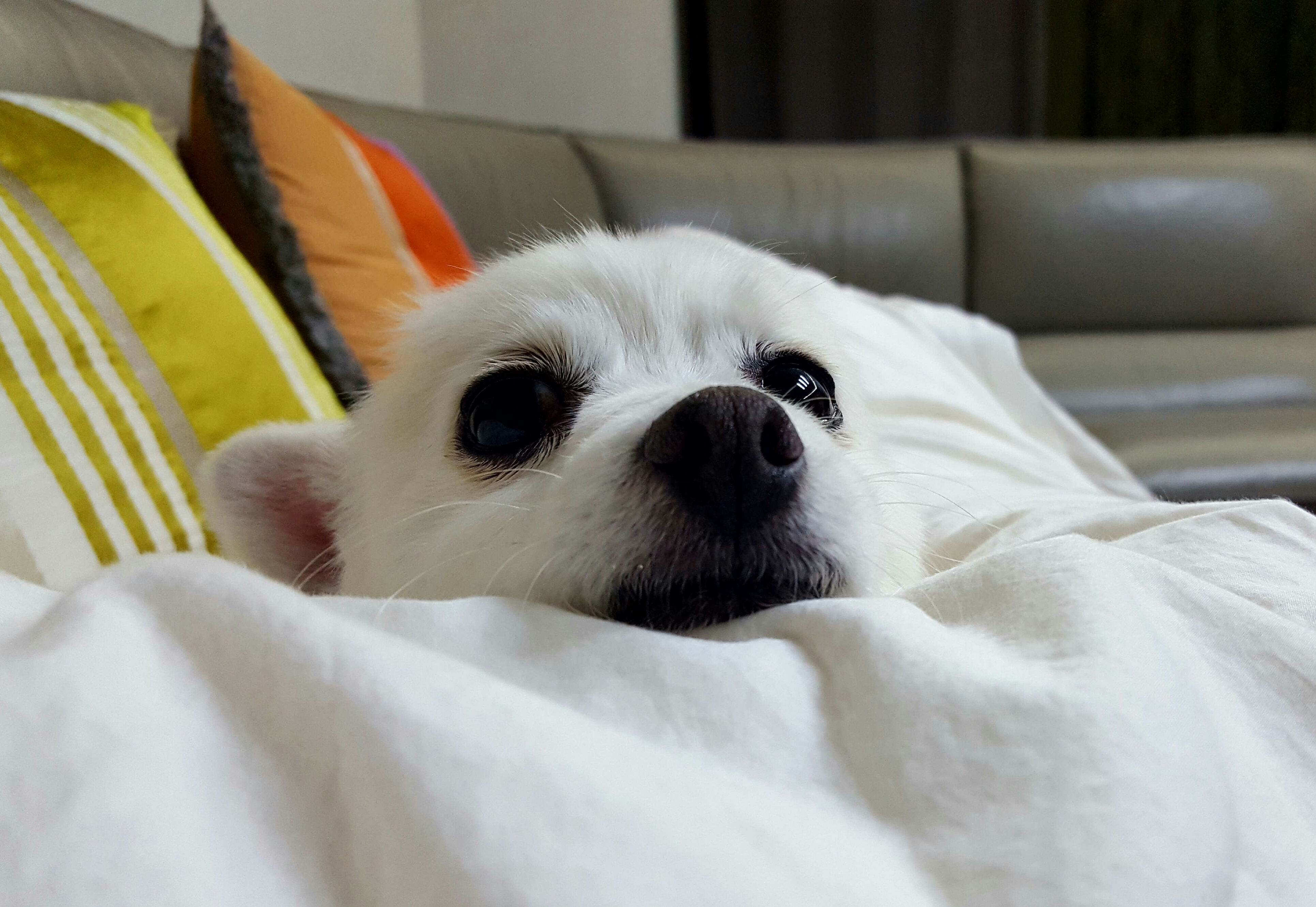햇살이 사진 올립니다~