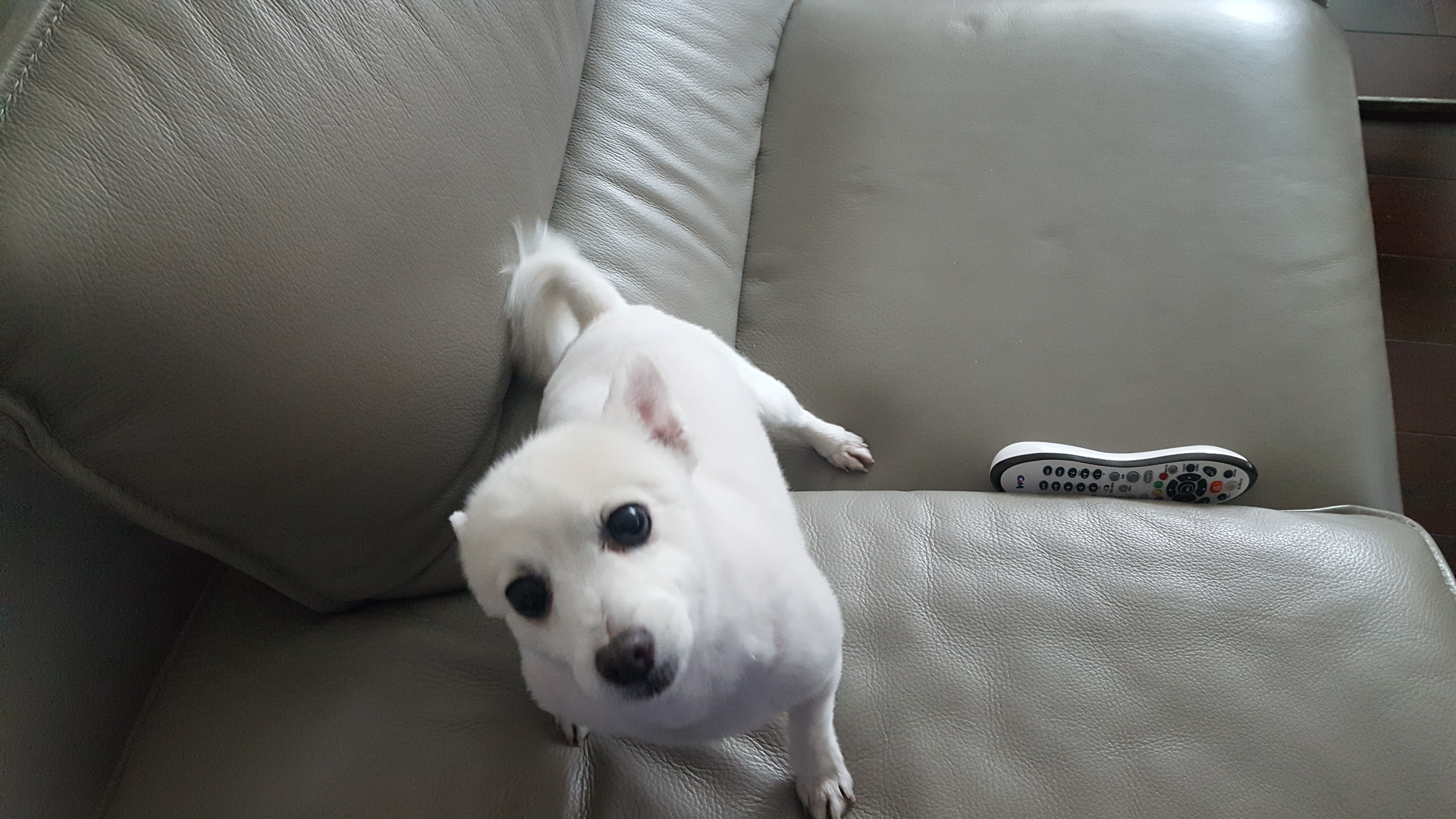 햇살이 사진 올립니다~