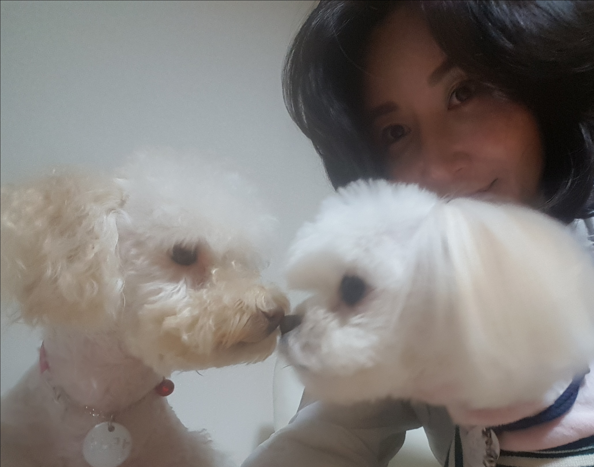 하랑이를 기억하시나요???